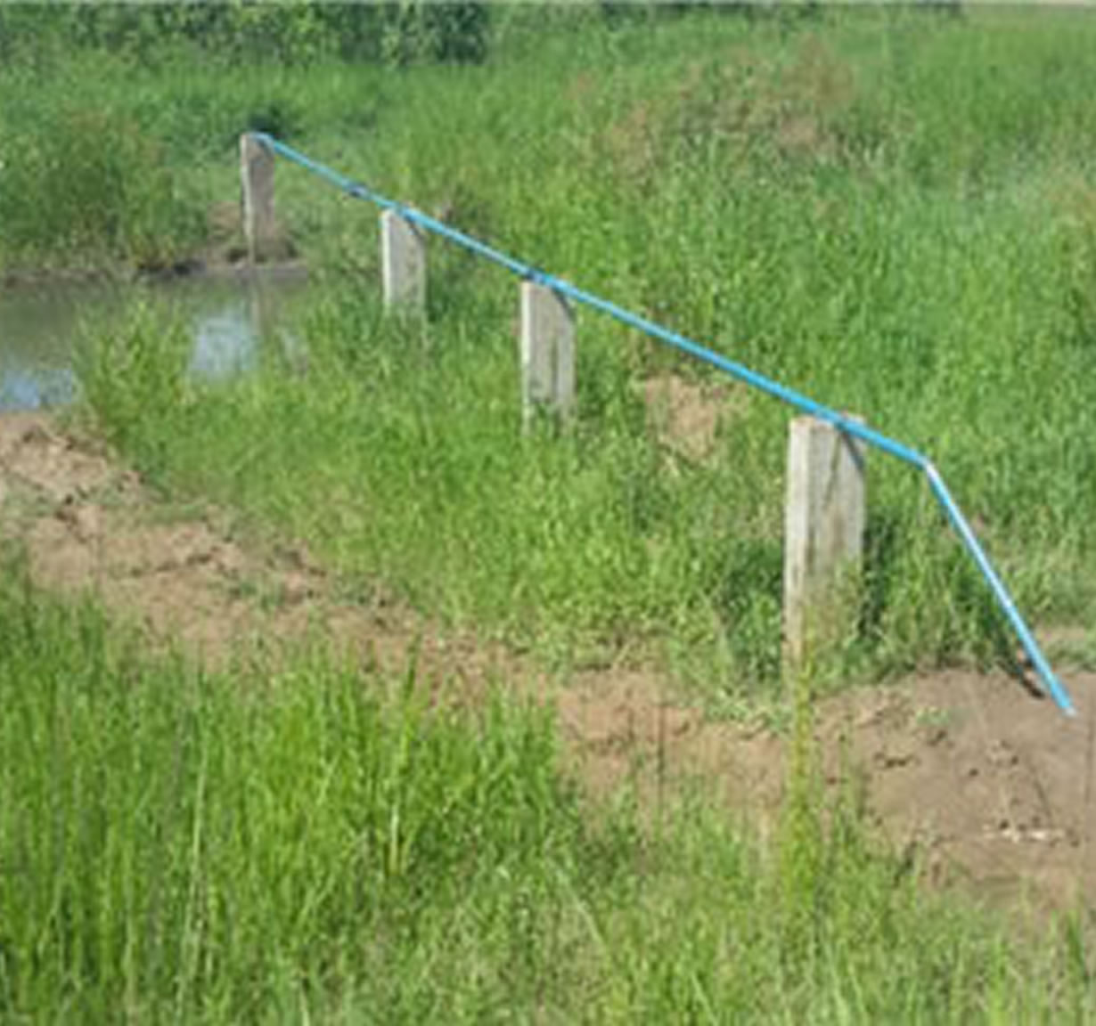 Distribution Water Pipes